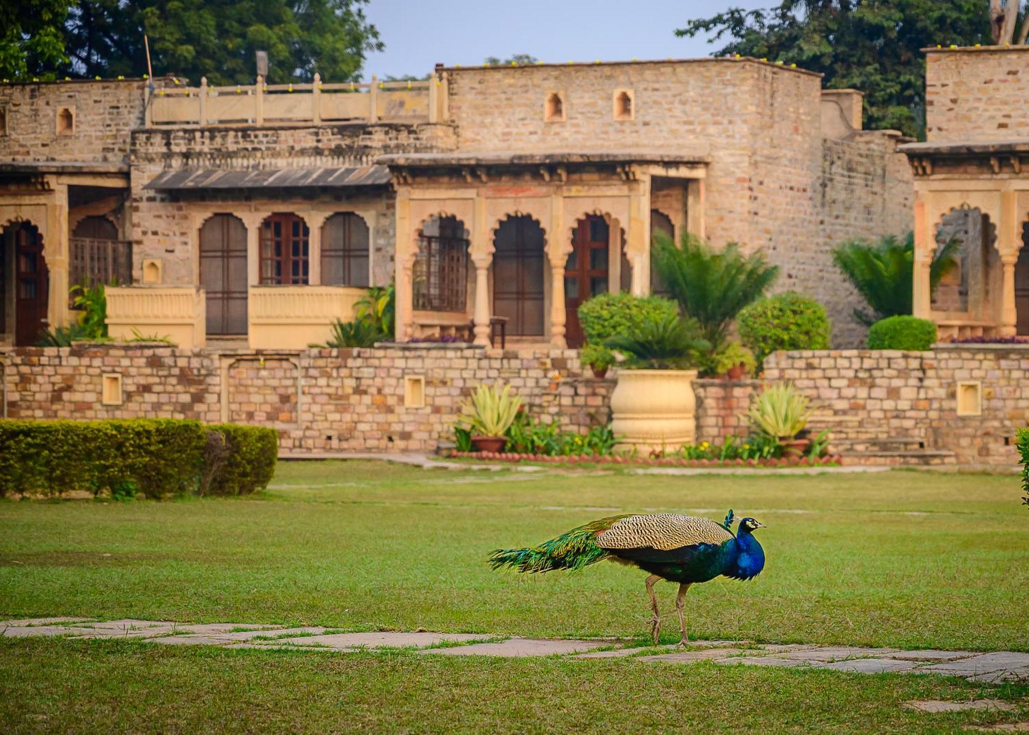 Neemrana'S - Deo Bagh Hotell Gwalior Eksteriør bilde